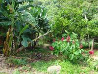 Sierra del Escambray (23) &ndash; &copy; Francisco Javier Burgos Gutierrez (Eberhardt TRAVEL)