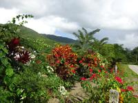 Sierra del Escambray (25) &ndash; &copy; Francisco Javier Burgos Gutierrez (Eberhardt TRAVEL)