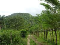Sierra del Escambray (28) &ndash; &copy; Francisco Javier Burgos Gutierrez (Eberhardt TRAVEL)