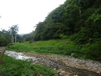 Sierra del Escambray (32) &ndash; &copy; Francisco Javier Burgos Gutierrez (Eberhardt TRAVEL)