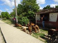Trinidad (4) &ndash; &copy; Francisco Javier Burgos Gutierrez (Eberhardt TRAVEL)