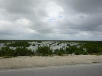 Damm (4) &ndash; &copy; Francisco Javier Burgos Gutierrez (Eberhardt TRAVEL)
