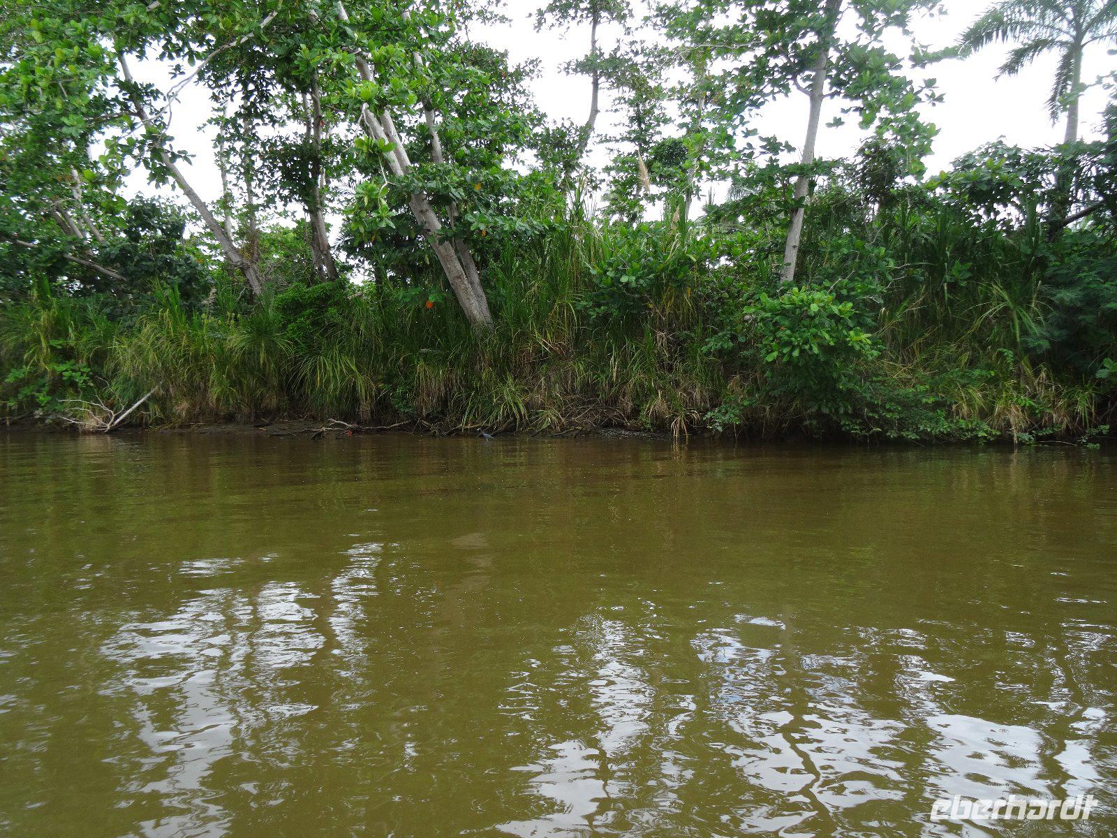 Der Rio Toa &ndash; &copy; Elke Knappe (Eberhardt TRAVEL)
