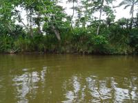Der Rio Toa &ndash; &copy; Elke Knappe (Eberhardt TRAVEL)