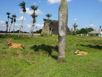 Vinales (2) &ndash; &copy; Francisco Javier Burgos Gutierrez (Eberhardt TRAVEL)