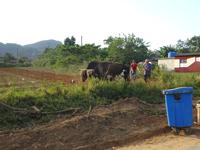 Vinales (11) &ndash; &copy; Francisco Javier Burgos Gutierrez (Eberhardt TRAVEL)