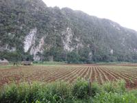 Vinales (17) &ndash; &copy; Francisco Javier Burgos Gutierrez (Eberhardt TRAVEL)