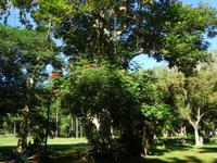 Vinales (18) &ndash; &copy; Francisco Javier Burgos Gutierrez (Eberhardt TRAVEL)