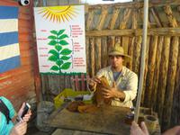 Vinales (36) &ndash; &copy; Francisco Javier Burgos Gutierrez (Eberhardt TRAVEL)