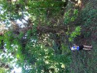 Botanischer Garten Cienfuegos (8) &ndash; &copy; Francisco Javier Burgos Gutierrez (Eberhardt TRAVEL)