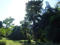 Botanischer Garten Cienfuegos (15) &ndash; &copy; Francisco Javier Burgos Gutierrez (Eberhardt TRAVEL)