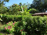 Sierra del Escambray (5) &ndash; &copy; Francisco Javier Burgos Gutierrez (Eberhardt TRAVEL)