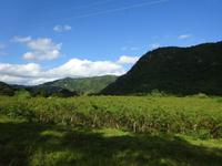 Sierra del Escambray (29) &ndash; &copy; Francisco Javier Burgos Gutierrez (Eberhardt TRAVEL)