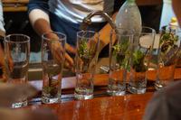 Mojito-Bereitung &ndash; &copy; Andreas Böcker (Eberhardt TRAVEL)