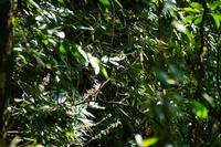 Suchbild mit Vogel  &ndash; &copy; Andreas Böcker (Eberhardt TRAVEL)