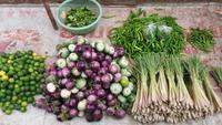Morning Markt Luang Prabang &ndash; &copy; Cornelia Ritter (Eberhardt TRAVEL)