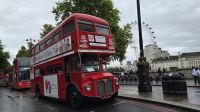 das geht auf unserer Afternoon Tea Tour &ndash; &copy; Marlies Thrum (Eberhardt TRAVEL)