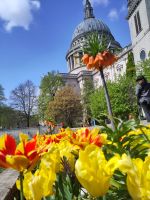 St. Paul's Cathedral &ndash; &copy; Andreas Böcker (Eberhardt TRAVEL)