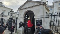 Horse Guards Parade &ndash; &copy; Marlies Thrum (Eberhardt TRAVEL)