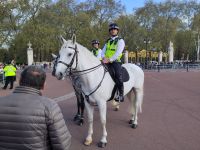 Viel wichtiger für die Sicherheit als die Wachsoldaten: Die Londoner Polizei, beritten, zu Fahrrad oder zu Fuß &ndash; &copy; Andreas Böcker (Eberhardt TRAVEL)
