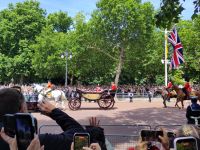 Der König, alle Handies gezückt!  &ndash; &copy; Andreas Böcker (Eberhardt TRAVEL)