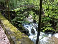 Waldspaziergang &ndash; &copy; Günter Löwe (Eberhardt TRAVEL)