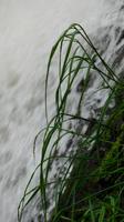 Belgiens höchster Wasserfall &ndash; &copy; Simone Kaufmann im Auftrag von Eberhardt TRAVEL (Eberhardt TRAVEL)