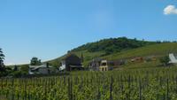An der Mosel &ndash; &copy; Simone Kaufmann im Auftrag von Eberhardt TRAVEL (Eberhardt TRAVEL)