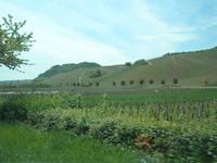 Mosel