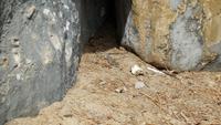 Eidechse im Bockfelsen &ndash; &copy; Simone Kaufmann im Auftrag von Eberhardt TRAVEL (Eberhardt TRAVEL)