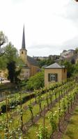 Weinanbau in Luxemburg &ndash; &copy; Simone Kaufmann im Auftrag von Eberhardt TRAVEL (Eberhardt TRAVEL)