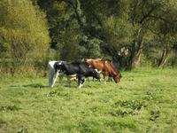 Dreiländereck &ndash; &copy; Constanze Hölig (Eberhardt TRAVEL)