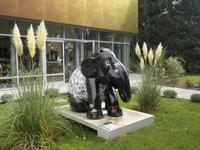 Grevenmacher Schmetterlingsgarten &ndash; &copy; Constanze Hölig (Eberhardt TRAVEL)