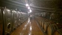 Weingut St. Martin, Remich