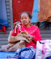 lebendige Frösche auf dem Markt zu Verkauf angeboten - Antananarivo, Madagaskar  &ndash; &copy; Sten Bernhardt (Eberhardt TRAVEL)
