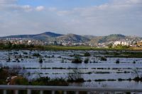 Reisfelder in Antananarivo, Madagaskar  &ndash; &copy; Sten Bernhardt (Eberhardt TRAVEL)
