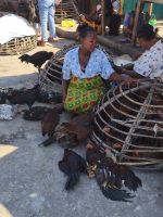 Markt in Tulear, Madagaskar &ndash; &copy; Sten Bernhardt (Eberhardt TRAVEL)