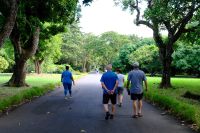 Spaziergang im Botanischen Garten Pampelmouse auf Mauritius  &ndash; &copy; Sten Bernhardt (Eberhardt TRAVEL)