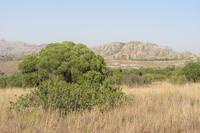 Isalo-Nationalpark &ndash; &copy; Daniela Paulan (Eberhardt TRAVEL)