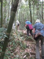 Ranomafana-Nationalpark &ndash; &copy; Daniela Paulan (Eberhardt TRAVEL)