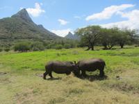 Casela-Naturpark &ndash; &copy; Daniela Paulan (Eberhardt TRAVEL)