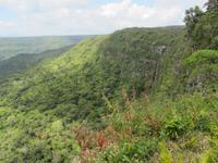 Black River-Nationalpark &ndash; &copy; Daniela Paulan (Eberhardt TRAVEL)
