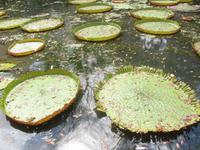 Botanischer Garten &ndash; &copy; Daniela Paulan (Eberhardt TRAVEL)