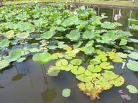 Botanischer Garten &ndash; &copy; Daniela Paulan (Eberhardt TRAVEL)