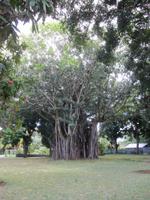 Botanischer Garten &ndash; &copy; Daniela Paulan (Eberhardt TRAVEL)