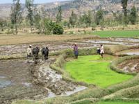 Weiterfahrt nach Ambositra &ndash; &copy; Britt Reuter-Bracklow (Eberhardt TRAVEL)