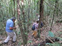 Ranomafana Nationalpark - Lemurenjagd :-) &ndash; &copy; Britt Reuter-Bracklow (Eberhardt TRAVEL)