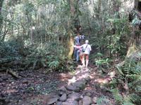 Ranomafana Nationalpark - Wanderung &ndash; &copy; Britt Reuter-Bracklow (Eberhardt TRAVEL)