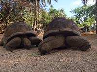 &copy; Britt Reuter-Bracklow (Eberhardt TRAVEL)