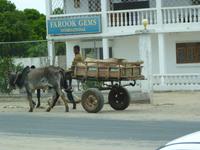 113 Madagaskar - Unterwegs nach Tulear &ndash; &copy; Jens Petzoldt (Eberhardt TRAVEL)